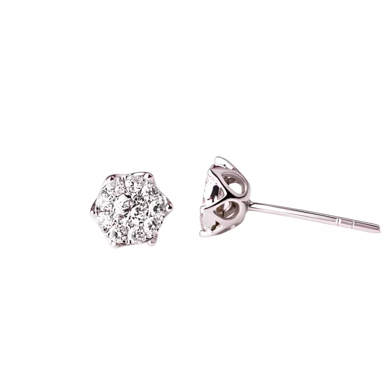 pt950 platinum six claw flower full diamond ladies earrings